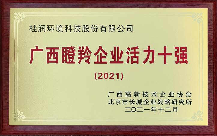 2021年廣西瞪羚企業(yè)活力10強(qiáng).jpg